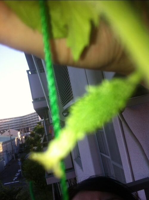 うれしくて撮ってみました。の写真