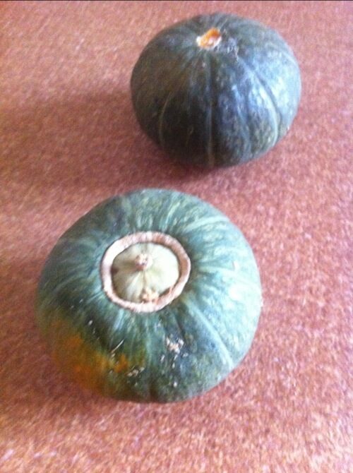かぼちゃの写真