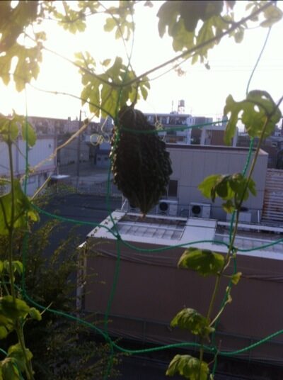 大阪の写真