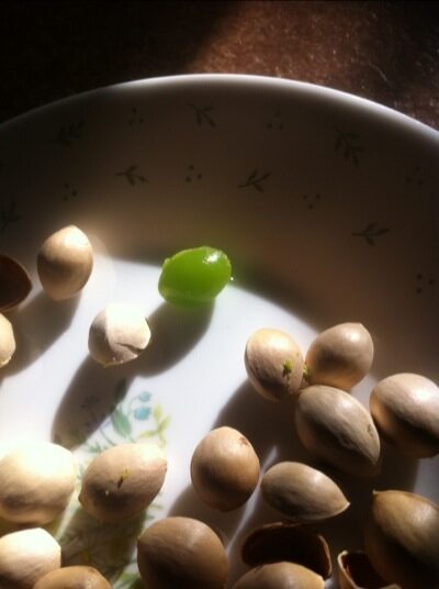 秋-3の写真